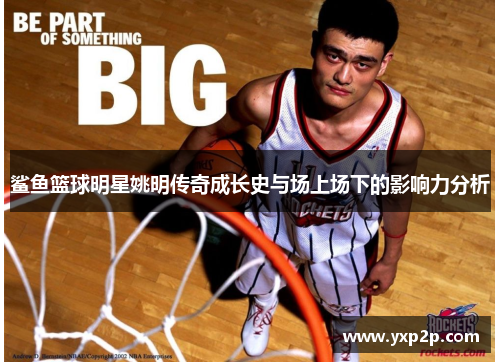 鲨鱼篮球明星姚明传奇成长史与场上场下的影响力分析