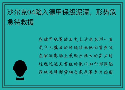 沙尔克04陷入德甲保级泥潭，形势危急待救援